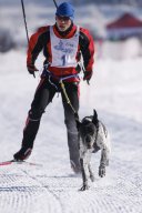 Lenk 2013